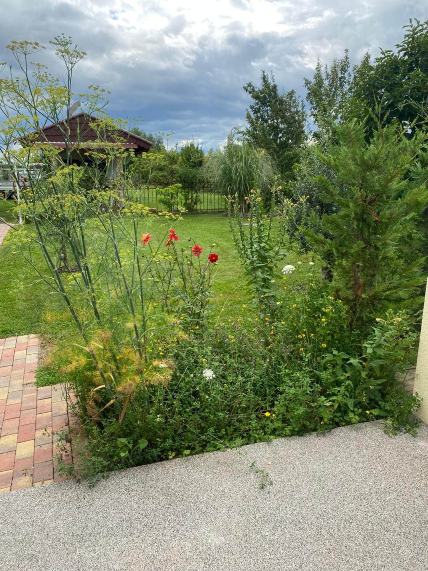 Ferienwohnung An Der Unditz 2 Neuried (Baden-Wurttemberg) Exterior foto